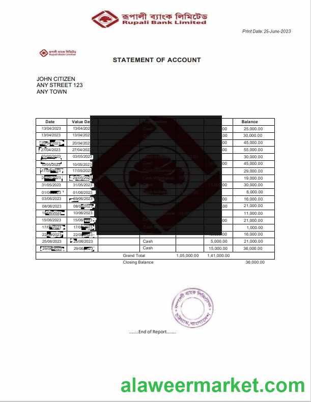India Rupali Limited bank statement template, Word and PDF format
